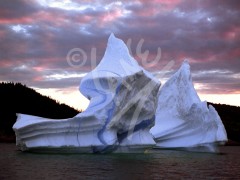 Herring Neck, iceberg at dusk